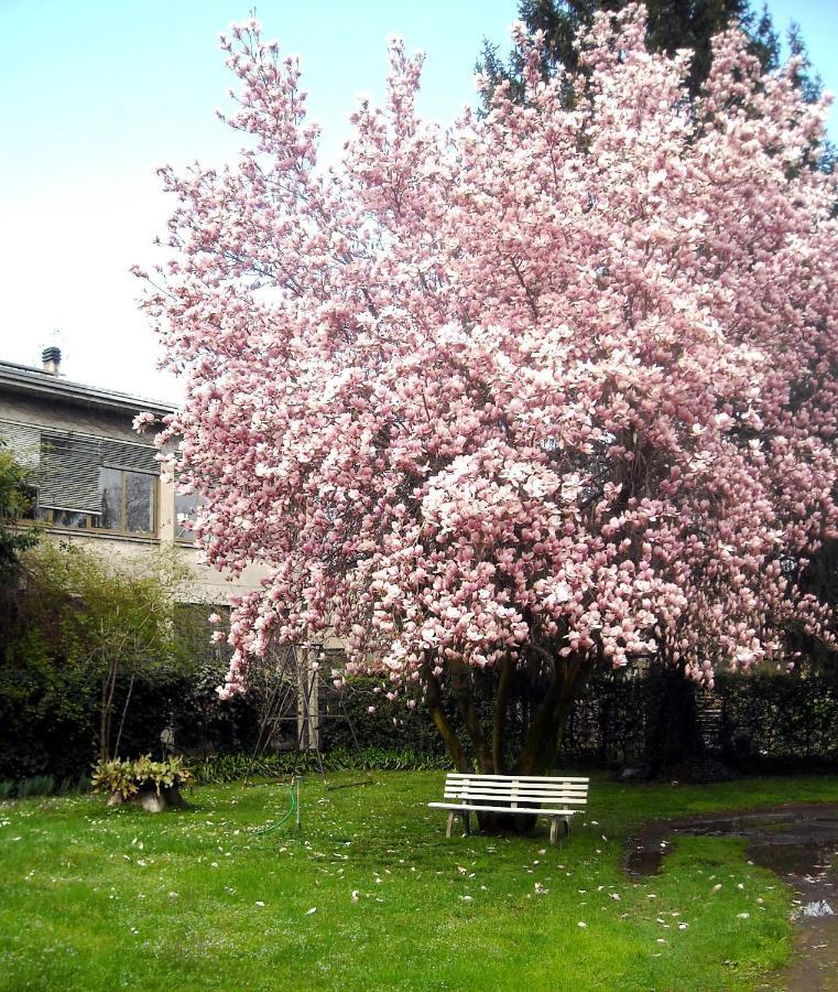 Sentirsi A Casa, Lontano Da Casa-Feel At Home Away From Home Caronno Pertusella ภายนอก รูปภาพ