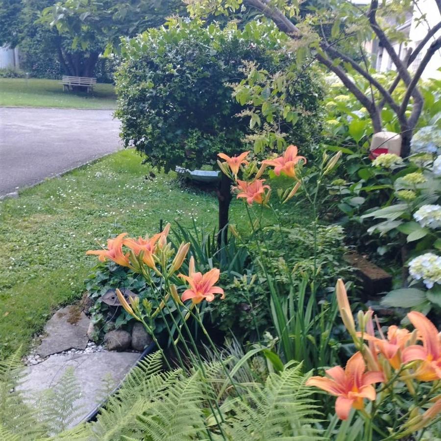Sentirsi A Casa, Lontano Da Casa-Feel At Home Away From Home Caronno Pertusella ภายนอก รูปภาพ